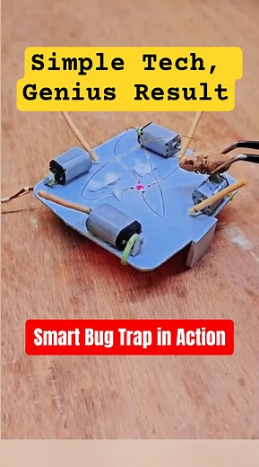 Smart Bug Trap with Micro Motors – DIY Tech Genius ✨