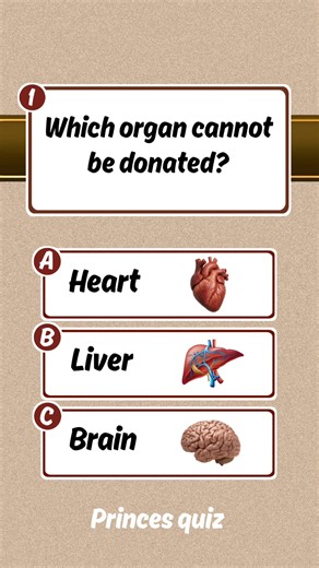 General Knowledge Questions English Quiz — IQ Test Practice