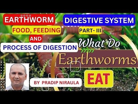 EARTHWORM: Food, Feeding And Process Of Digestion : PHYSIOLOGY OF DIGESTION:ZOOLOGY: PRADIP NIRAULA