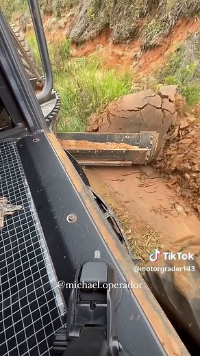 Grader Cat Aly on TikTok