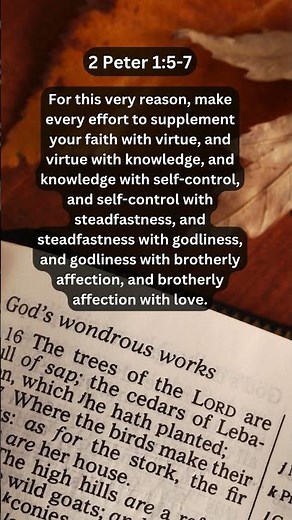 Journey of faith and spiritual growth | 2 Peter 1:5-7 Daily Bible Verse