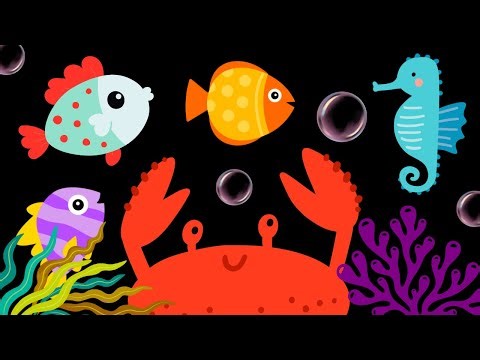 Baby Sensory Video - Visual Stimulation for Newborn - Tummy Time - Sensory Videos for Babies #baby