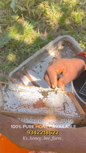 Highrange Area honey available #theni #honeybeesting #bee
