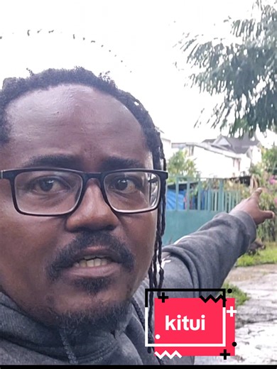 Volkswagen Kitui Engine Rebuild Insights