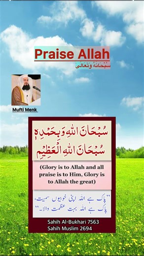Praise Allah سُبْحَانَهُ وَتَعَالَىٰ - by Mufti Menk #allahuakbar #dua #muftimenk