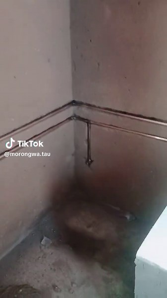 Expert Plumbing Services in South Africa