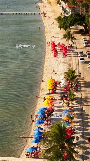 ☀️Novo Point da Praia da Pitória 🏝️ ⛱️ Venha conhecer o @pitoriapalmer 🏝️ 🎥 @flymoving #praiadapitoria #lagoadeararuama☀️😃📷🌴🌴💕 #drone #dji #dronelife #dronefly #droneoftheday #instagood #travel #viral #algorithm #dronephoto | FlyMoving Imagens Aereas