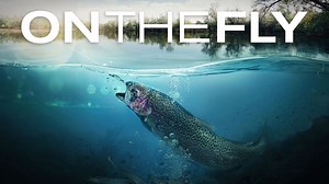 Watch On The Fly Online: Free Streaming & Catch Up TV in Australia