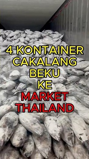 Send 4 more containers of skipjack tuna to Thailand 🇹🇭 Got PO 12 more containers!