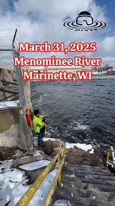 319K views · 2.2K reactions | The WALLEYE RUN is here!  Today, I took a ride down to my local dam in Marinette, WI and talked with local angler Dennis Smejkal about fishing there, in the Menominee River. He caught a nice walleye while I was there and had some other interesting things to say. CHECK IT OUT! ✅ #walleyefishing #walleye #fish #lures #fyp #menomineeriver #marinette #wisconsin #menominee #michigan #sunnyday #outdoors #fishing | Ed the Diver | Facebook
