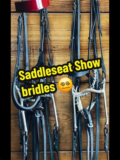 how to choose a bit for a horse saddleseat style. LOOSE RING SINGLE JOINTED TWISTED WIRE SNAFFLE. bradoon (show bridle) half cheek (work bridle-usually half cheek driving bits) - its their equivalent to a 3 piece smooth snaffle. it goes on everything. its seen as light and user friendly. first time riders use them. slow twists arent as common but theyre mused a lot more on horses who work and show in snaffle bridles only. The twisted wire. everythings started in a twisted wire and if they need m