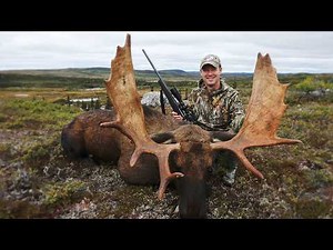 Hunting Massive Bull Moose in Remote Newfoundland | Canada in the Rough