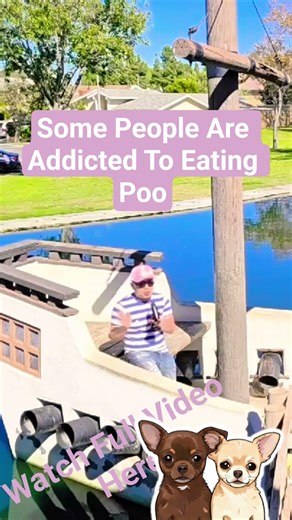 Some People Are Addicted To Eating Poo. #stopeatingthis #goonies #gross #cyndilauper