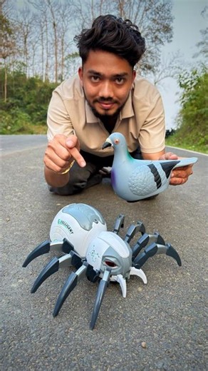 Remote Control Pigeon Vs Rc Spider Deko 😳