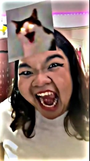 cat meme face#shorts #duet#funny #shortsfeed #trending