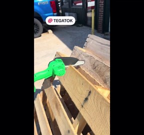 Tegatok 2-in-1 Cordless Pole Saw & Mini Chainsaw with 1 Battery and 2 Chains, Electric Pole Saw with 5.5ft Extension Rod, Battery Reach Pole Saw for Tree Trimming and Branch Cutting