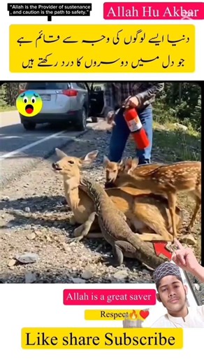 Allah is Great ☝️😇 Respect 😍Even the short creator save you by the merch of God 🥺👍 #shorts