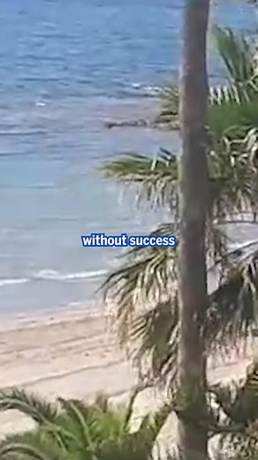 15K views · 52 reactions | This is terrifying! 麗 | Daily Mail Video | Facebook