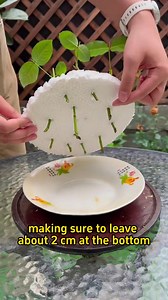 #garden #plants #gardening #indoorplants #rose | Gardeningideas