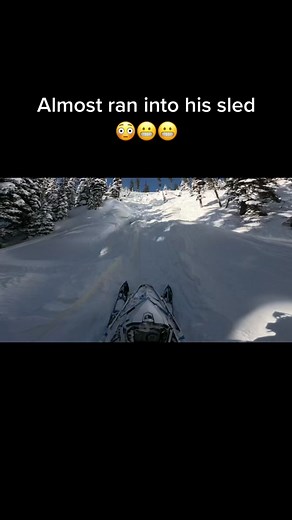 Snowmobile Adventure: Thrilling Ride in the Mountains