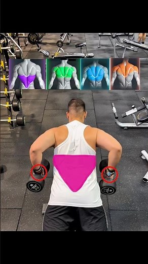 🔽 Incline Bench Dumbbell Back Exsercises And Grip Variation