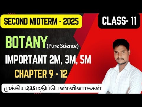 11th Botany Second Midterm Important Questions 2025