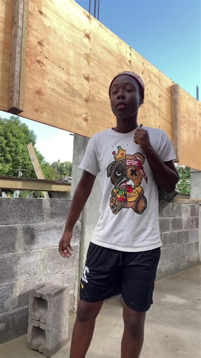 Birkin bag😂💃🏽🔥#antiguantiktok🇦🇬 #construction #birkinbag | birkin bag