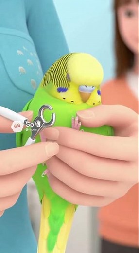 A complete guide to clipping bird nails to avoid cutting blood vessels