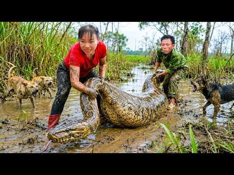 72 Hours Harvesting Giant Fish: Can The Family Escape A Monster Python In The Swamp?