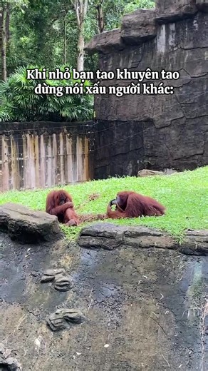 Không à t người trần mắt thịt nên không nhịn đâu à #vinwonders #Dulich #GreenCreator #tournhotnguoithathu #xuhuong