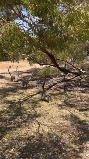 3.8K views · 296 reactions | How cool is this?!  Keepers played...