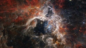Webb Space Telescope Images the 'Spider Silk' of the Tarantula Nebula