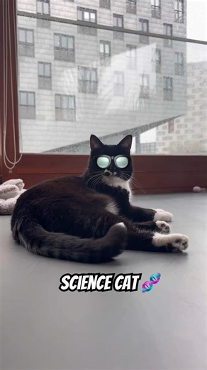 Science #cat E3 🧬 #microbiome #weight