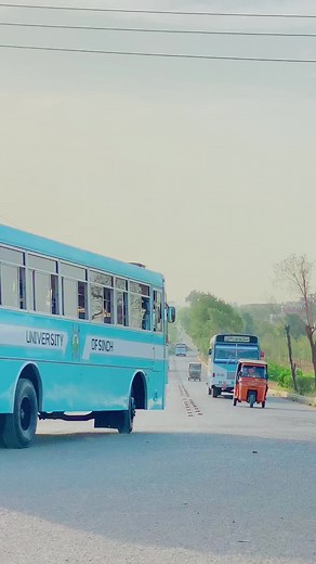 Exploring Sindh University: A Cultural Journey