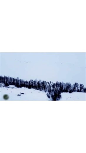 #cold #lifestyle #reels #reels #running #snow #world #usa #uk #silence