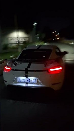 The Pors he money can buy, the Porsche 718 Cayman GT4 #cars924