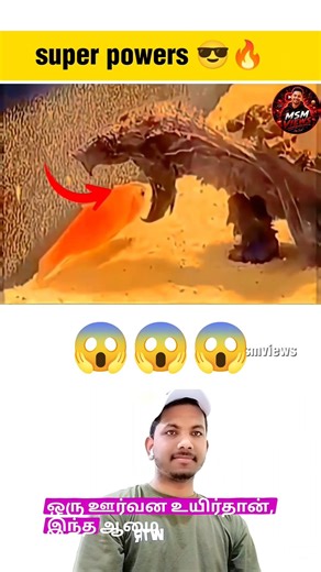 🔥இது அந்த ஆமையோட super power 😱😱 #shortvideo #tamil #trolllife #trendingshorts #viral