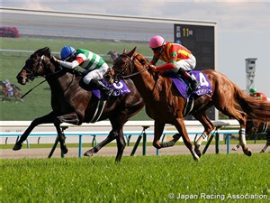 Tenno Sho (Spring) (G1) Race Preview: Kyoto - Sunday, 3rd May 2026