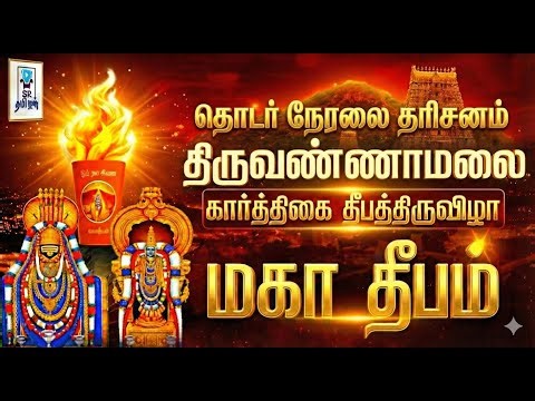 🔴LIVE: திருவண்ணாமலை கார்த்திகை தீபம் 2025 || Tiruvannamalai Karthigai Deepam 2025 || ‪@SRTamilan‬