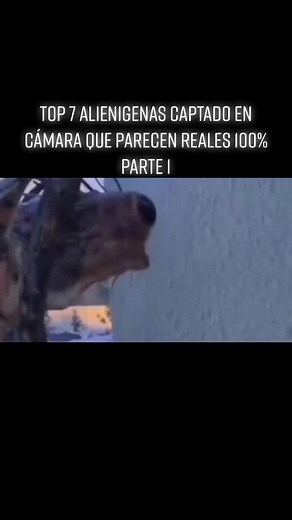 Los 7 alienígenas captados en cámara que parecen reales
