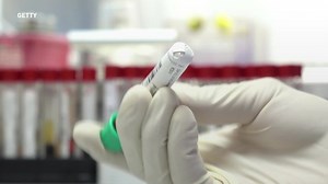 Gut bacteria could help us make a universal blood type