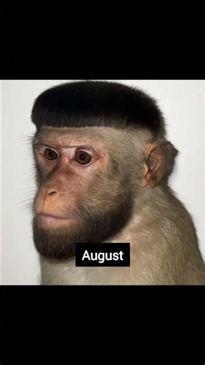 When you realize your birth month animal is August.