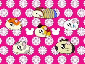 【手描き】hamtaroooo・ω・【ハム太郎】