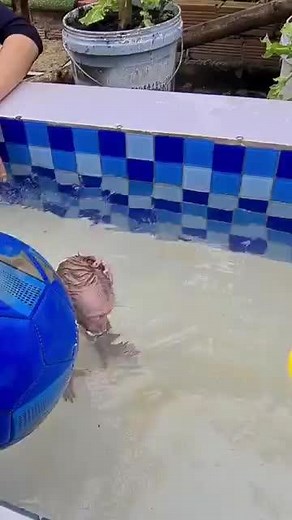 Tài khoản được đề xuất