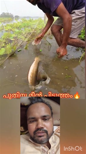 പുതിയ മീൻ പിടുത്തം #mallutraveler#fishingfreaks#shortsX#mallu#malayalam#m4tech
