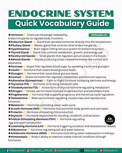 48K views · 298 reactions | A simplified and easy-to-understand collection of essential endocrine system terms designed to help learners quickly grasp hormone functions, gland roles, and key concepts. Perfect for students, educators, and science enthusiasts looking for a clear overview of the body's hormonal communication system. #EndocrineSystem #Hormones #BiologyFacts #ScienceEducation #HumanBody | Gkbooks | Facebook