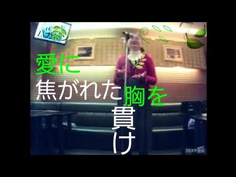 『鋼の錬金術師[2003年版]』（テレビアニメOP）／ポルノグラフィティ／メリッサ【うたスキ動画】