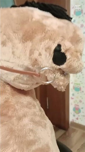 Western Bridle Tutorial 💓💓💓