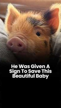 He Was Given A Sign To Save This Baby