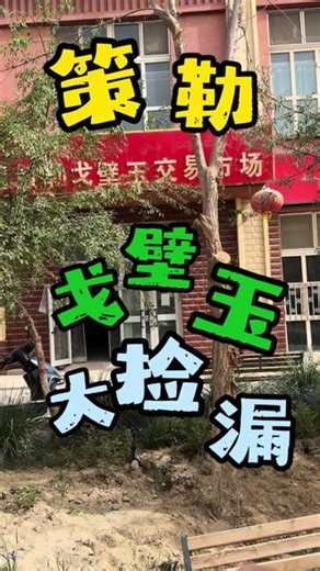策勒寻玉日记：戈壁玉大捡漏 策勒戈壁料，历经风沙磨砺，皮壳沧桑、油润老气，是和田玉里独一份的旷野风骨。漫步戈壁玉交易市场，赏原石、谈行情，感受源头藏玉的魅力。玩玉懂行，必来策勒。#和田玉戈壁料 #和田玉籽料 #和田玉捡漏 #策勒戈壁玉 #和田玉鉴定